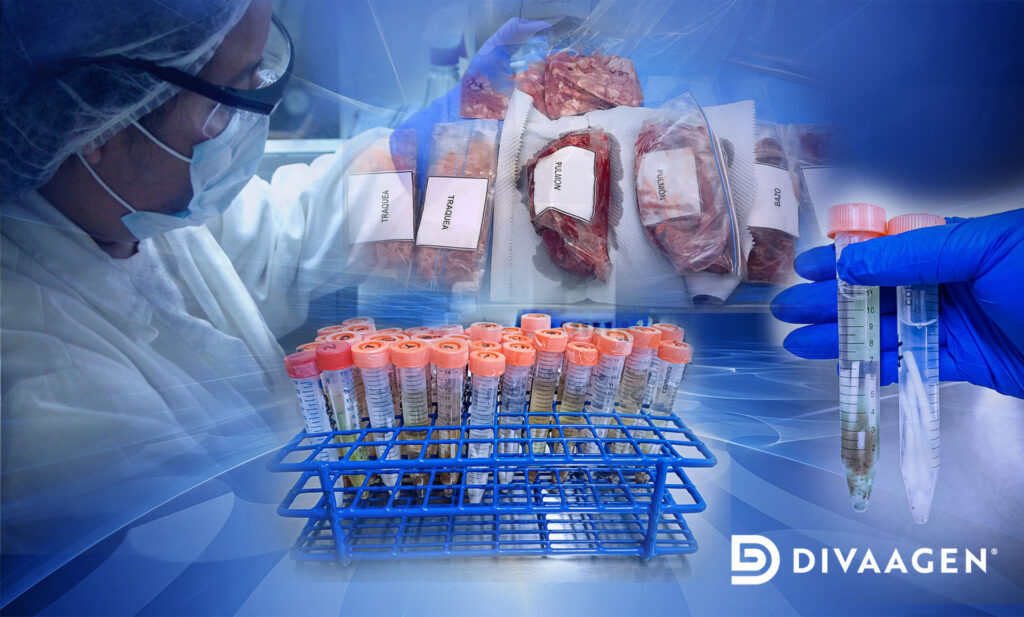 recoleccion y toma de muestras para diagnostico
