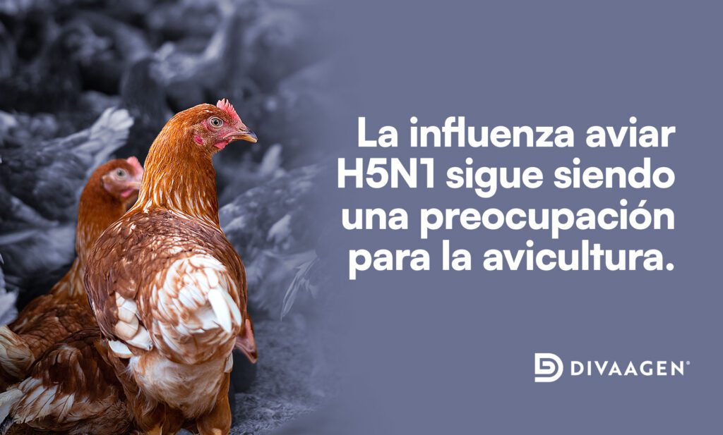La influenza aviar H5N1